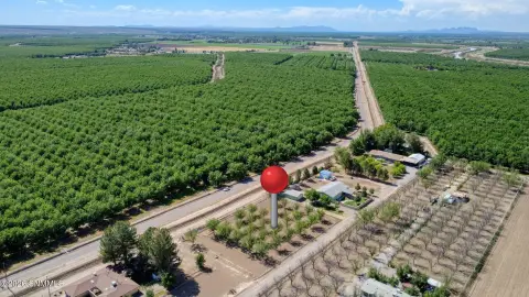 Irrigated Pecan Orchard Land