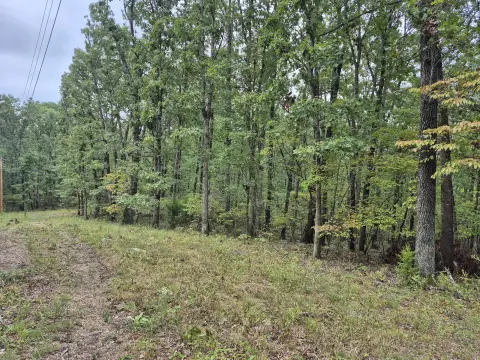 Wooded Land Tract