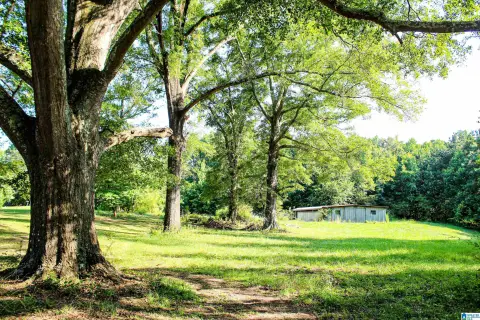 Recreational Farm Acreage with Barn