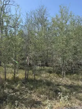 Secluded Land in Sutherland Springs