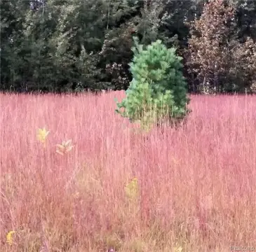 Residential Land in Lakewood Shores