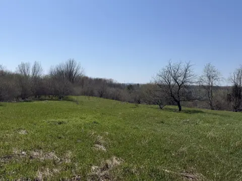 Custer Land with Fruit Trees