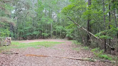 Two Lots Near Rayburn Resort