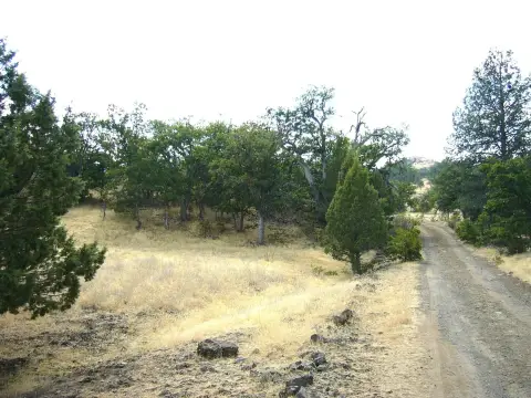 Secluded Acreage in Hornbrook, CA