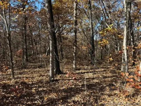 40 Acres of Land, Lincoln