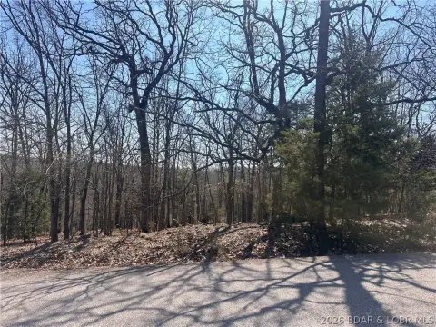 Residential Lot in Camelot Estates