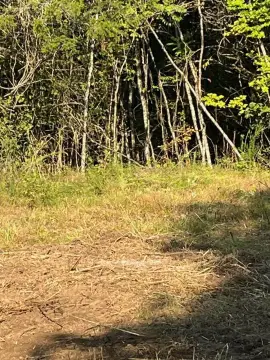 Private Hardwood Hunting Land