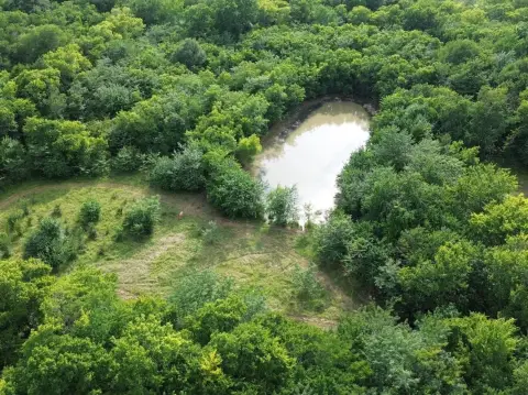 Farmland with Pond