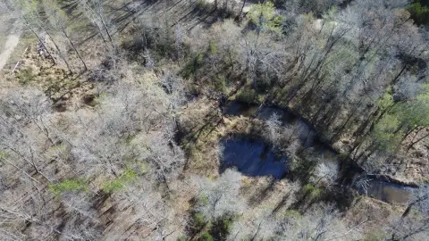 Wooded Hunting Land