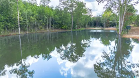 Vineyard Acreage Lot
