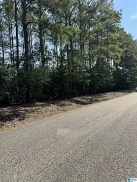 Unrestricted 5-Acre Land Lot