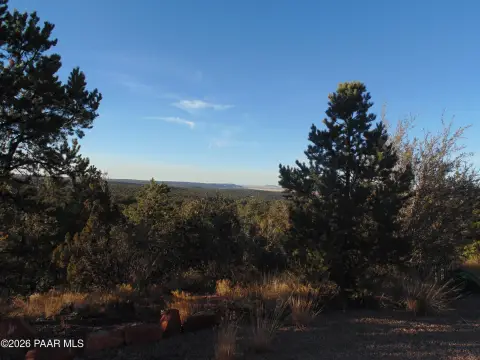 Recreation Land with Trees