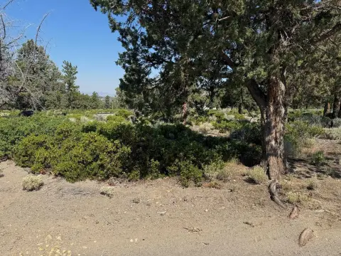 Residential Lot in Weed, CA