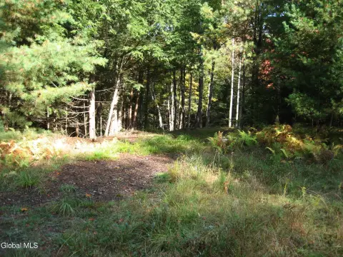 Adirondack Retreat Land For Sale