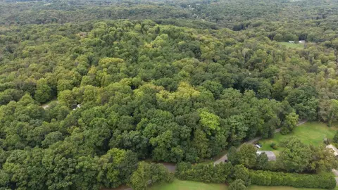 Wooded Land with Dual Road Access