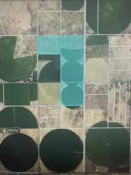 Pivot-Irrigated Farm