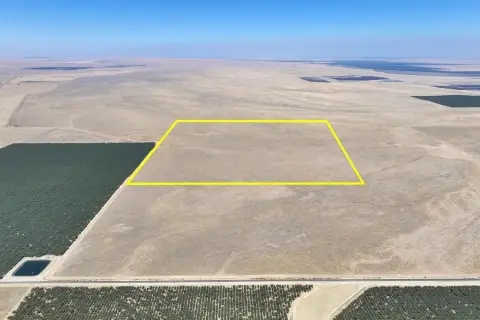 Cattle Grazing Ranch