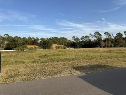 Dade City Vacant Homesite