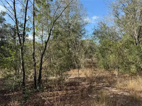 Belleview Vacant Land For Sale