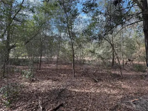 Belleview Vacant Land For Sale