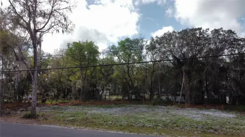 Oversized Lot in DeLand, FL