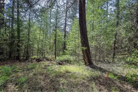 Wooded Land Parcel in Goldendale