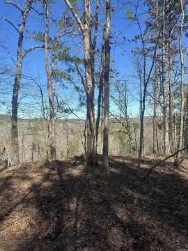 Secluded Acreage in Hot Springs