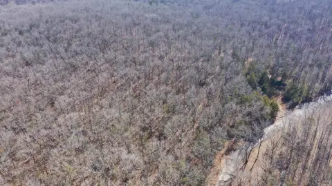 Wooded Land Near Woolly Hollow