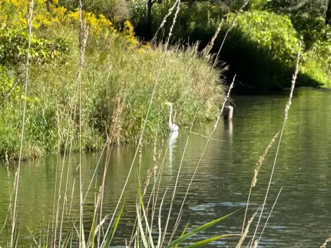 Riverfront Land Parcel