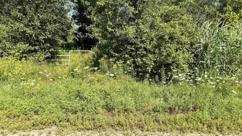 Wooded Hunting Land Parcel