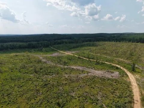 Hunting Land with Creek Bottom