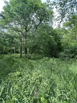 Land in Quiet Starkville Cul-de-Sac