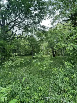 Residential Land in Starkville, MS