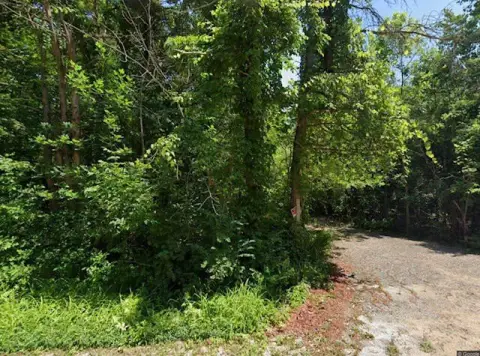 Vacant Land on Lake Nicana