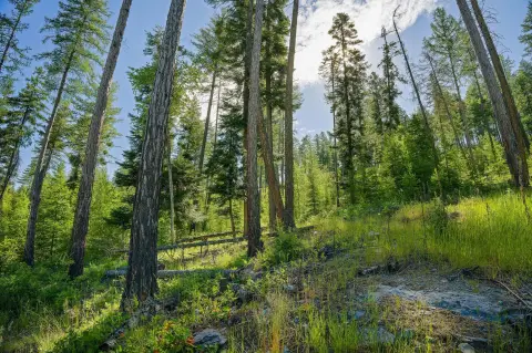 Saddlehorn Homesite with Lake Views