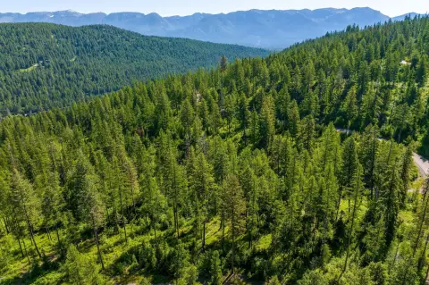 Bigfork, MT Homesite with Views