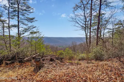 Wooded Lot with Mountain Views