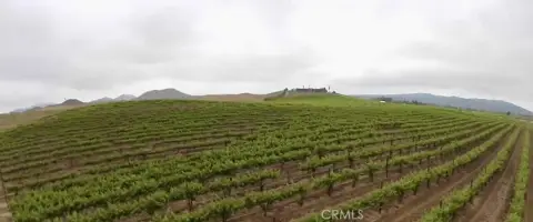 Temecula Wine Country Vineyard Estate