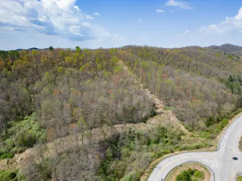Wooded Hunting Land