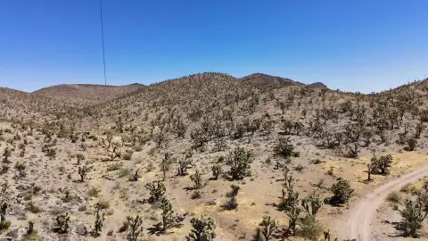 Dolan Springs Vacant Land