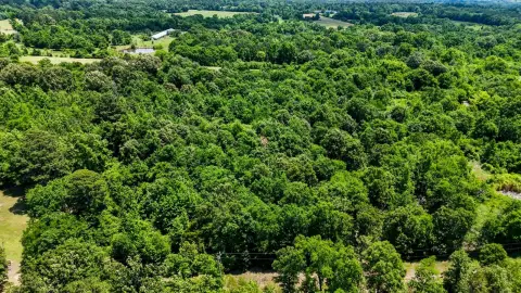 Glover, OK Wooded Land