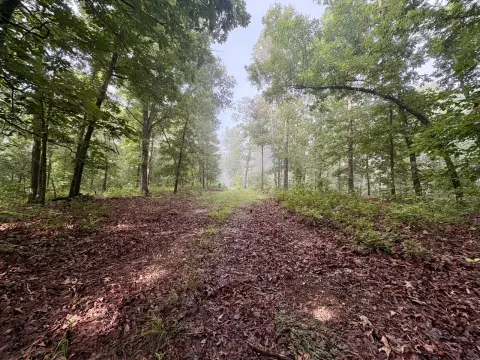 Wooded Hunting Land