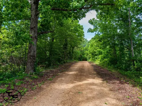 Vacant Hunting and Recreation Land