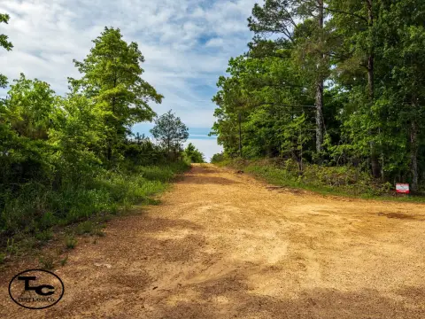 Rural Timber & Hunting Acreage