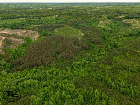 Timber & Hunting Tract Land