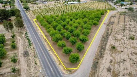 Pecan Orchard Land For Sale