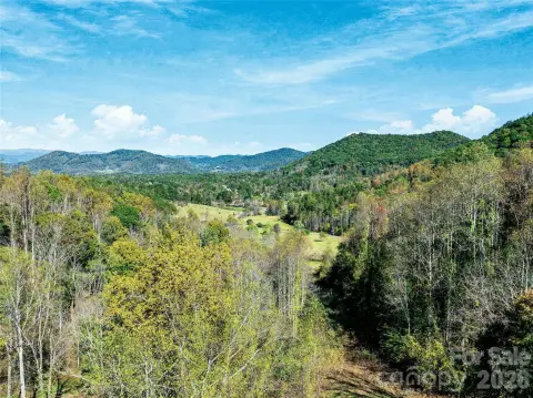 Mountain Cove Land