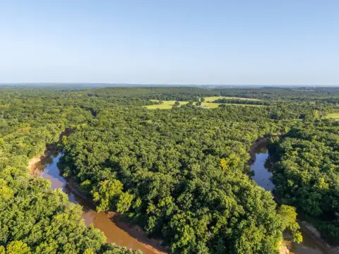 Timbered Waterfront Hunting Tract