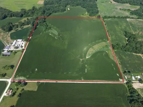 Tillable Farmland Tract with Road Access