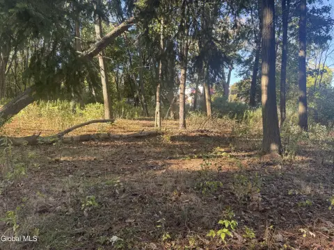 Approved Lot in Schenectady, NY